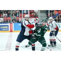 Tri-City Americans vs. Everett Silvertips