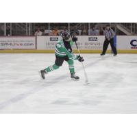 IceGators in Action