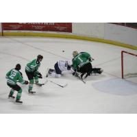 IceGators in Action