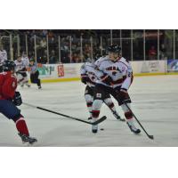 Tanner Lomsnes of the Corpus Christi IceRays