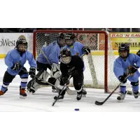 Lancers Host Annual Youth Hockey School