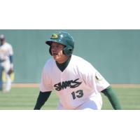 Beloit Snappers in Action