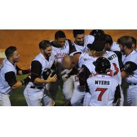 Arkansas Travelers Celebrate Walk-Off Win