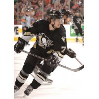 Forward Matt Hussey with the Pittsburgh Penguins