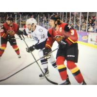 Evansville IceMen vs. Indy Fuel