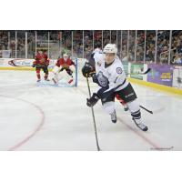 Evansville IceMen Forward Nathan Moon vs. the Indy Fuel