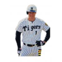 Tom O'Malley with the Hanshin Tigers