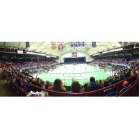 The View at a Syracuse Silver Knights Game