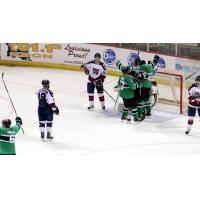 Louisiana IceGators Celebrate a Goal vs. the Macon Mayhem