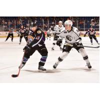 Manchester Monarchs Face the Orlando Solar Bears