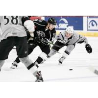 Ontario Reign vs. the San Antonio Rampage