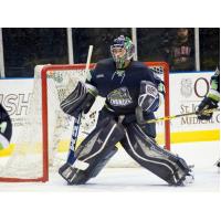 Bloomington Thunder Goaltender Hayden Lavigne