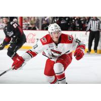 Winger Erik Karlsson with the Charlotte Checkers