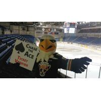 Cape Breton Screaming Eagles Mascot Screech