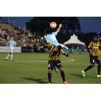 Wilmington Hammerheads Leap over the Charleston Battery