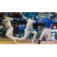Ryon Healy, Matt Chapman and Viosergy Rosa of the Midland RockHounds