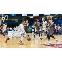 Saint John Mill Rats Head to the Hoop vs. the Moncton Miracles