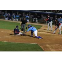 Myrtle Beach Pelicans Apply the Tag to the Salem Red Sox