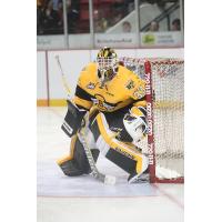 Brandon Wheat Kings Goaltender Jordan Papirny