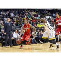 Windsor Express Drive to the Hoop vs. the London Lightning
