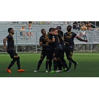 Fort Lauderdale Strikers Celebrate a Manny Gonzalez Goal