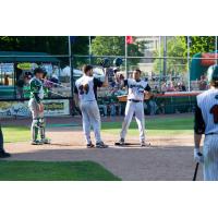 Green Bay Bullfrogs Celebrate at Home Plate