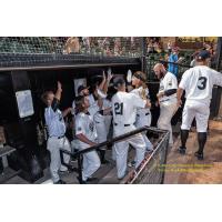 River City Rascals Season in Review