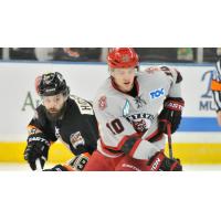 Weekend Preview: Havoc Take on Ice Bears for Home-And-Home Matchup