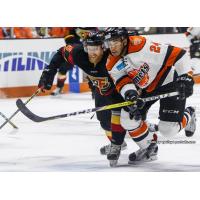 Komets Collect Three Points for Week Four