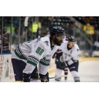 Samuels-Thomas Loaned to AHL's San Diego Gulls