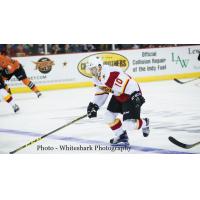 Indy's Wideman Named Sher-Wood Hockey ECHL Player of the Week