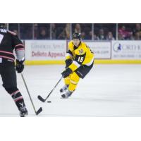 Bradshaw Moves up to ECHL Adirondack Thunder