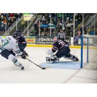 Everblades Defeat Stingrays to EarnFourth Straight Win