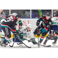Kelowna (4) Seattle (5) - Game One - Western Conference Championship