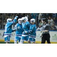 Knighthawks' Playoff Hopes Intact After Beating New England