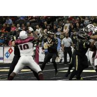 Steelhawks Take Bark out of Wolfpack...