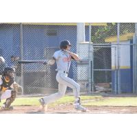 Stompers Remain Undefeated, Best Vallejo