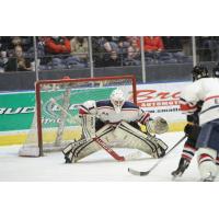 Amarillo Bulls Alumni Collin Delia Signs NHL Deal with Chicago