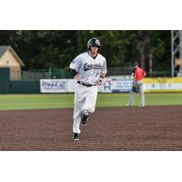 Kronenfeld Stars in Rascals Loss