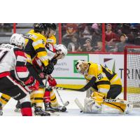 Frontenacs Down 67's at Jam-Packed School Day Game