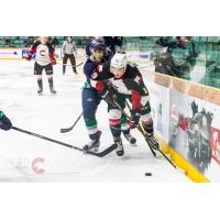 Prince George Cougars Game Recap: Thunderbirds 5 Cougars 2