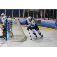 Lincoln Stars Defenseman Wyatt Aamodt