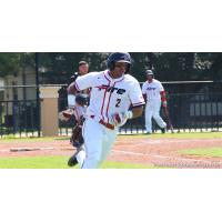 Outfielder Marcus Guzman