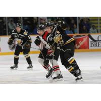 Cape Breton Screaming Eagles vs. the Drummondville Voltigeurs