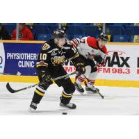Cape Breton Sreaming Eagles vs. the Drummondville Voltigeurs