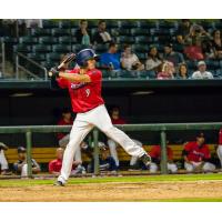 Jacksonville Jumbo Shrimp outfielder Cade Gotta