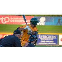 Andrew Godbold of the Normal CornBelters awaits a pitch