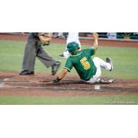 Sam Vega of the Normal CornBelters slides safely home