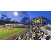 Lexington County Baseball Stadium, home of the Lexington County Blowfish