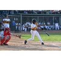 Willmar Stingers at the plate